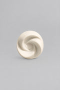 A small off-white spiral-shaped object.
